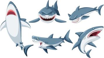 conjunto de personajes de dibujos animados de tiburones vector