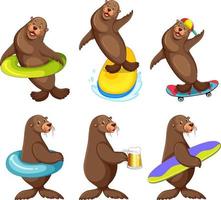 Set of different sea lions cartoon characters vector