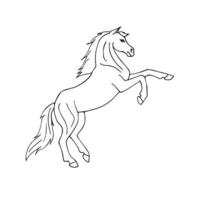 Vector hand drawn horse