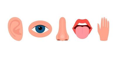 Five senses, hearing, vision, smell, taste, touch. Ear, eye, nose, mouth with tongue, hand. Human sense organs set. Vector illustration