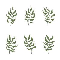 Set of abstract wavy plant or grass brunches curved leaves collection for wall decor, poster design. Decorative wavy organic shapes. Botanical elements for refreshing complement vector illustration