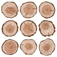 corte del conjunto de colores del tronco del árbol, corte redondo de la colección de troncos, anillos ondulados de la vida, círculos concéntricos dibujados a mano, ilustración vectorial de los anillos de los árboles de la edad de la madera