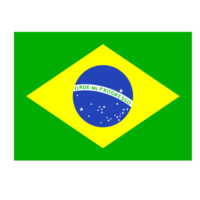 Brasilien flagga png fil
