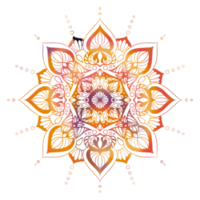 motif géométrique de mandalas, mandala chaud, fleur de vie arc-en-ciel avec lotus, fleur de vie en lotus png