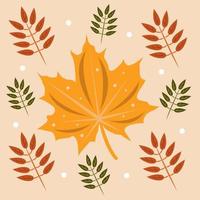 Autumn leaves vector illustration for graphic design and decorative element