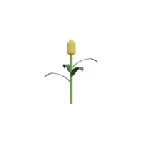 3D Isolated Various Flower png