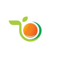 Orang Fruit Logo Design Template vector