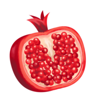 pomegranate fruit cartoon png