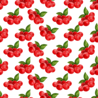 Muster zum Malen von Früchten png