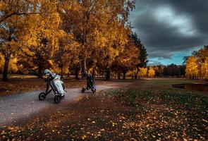 buen día de otoño en el otoño. foto