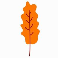 hand-drawn illustration of an autumn leaf isolated on a white background, vector