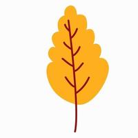 hand-drawn illustration of an autumn leaf isolated on a white background, vector