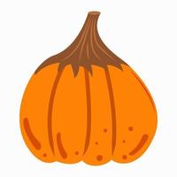 Pumpkin on a white background. Happy Halloween holiday. Vector illustration for design, postcards, banners.