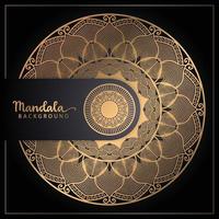 Luxury mandala background design in gold color vector