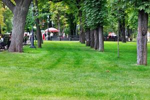 césped verde bien cuidado sobre un fondo borroso de un parque de la ciudad y gente descansando. foto