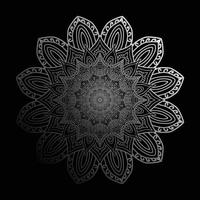 luxury mandala background design vector