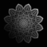 luxury mandala background design vector