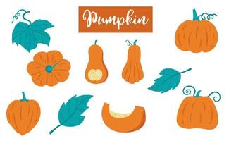 Cute pumpkin object collection.Whole, cut in half, sliced on pieces pumpkin. Vector illustration for icon,sticker,printable