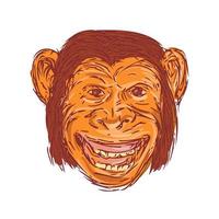 Chimpanzee Head Front Isolated Drawing vector