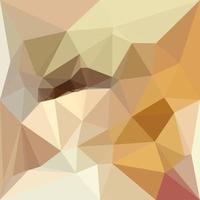 Corn Yellow Beige Abstract Low Polygon Background vector