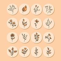 conjunto de iconos de color de los iconos de plantas forestales de campo en tonos marrones. puedes usar iconos para redes sociales vector