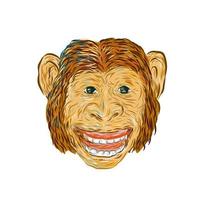 Chimpanzee Head Front Isolated vector