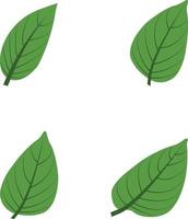 vector de hoja de árbol verde y varias formas