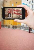 fotografías turísticas de hojas de hiedra roja en otoño foto