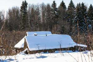 abandoned rustic house at the edge of forest photo