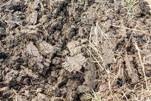 soil texture close up photo