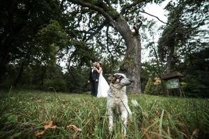 hermosa pareja de novios posando foto