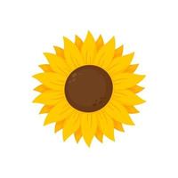 los girasoles amarillos florecen en primavera. para decorar cartel de bienvenida vector