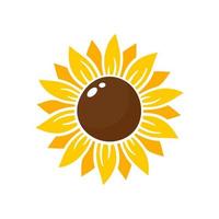 los girasoles amarillos florecen en primavera. para decorar cartel de bienvenida vector