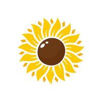 Yellow sunflowers bloom in spring. for decorating welcome sign vector