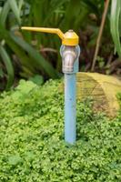 water tap in the green garden photo