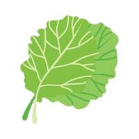 icono de vector plano de una col fresca. vegetales de hoja verde. ingredientes saludables para ensaladas vegetarianas