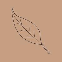 conjunto de contornos de hojas dibujados a mano. ilustración vectorial en el fondo de otoño vector