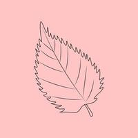 Set of hand drawn leaf outlines. Vector illustration. on the autumn background