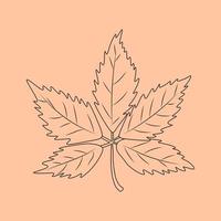 Set of hand drawn leaf outlines. Vector illustration. on the autumn background