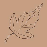 Set of hand drawn leaf outlines. Vector illustration. on the autumn background