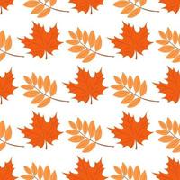 autumn pattern with autumn leaves. Autumn pattern for autumn design vector