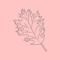 Set of hand drawn leaf outlines. Vector illustration. on the autumn background