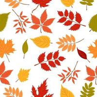 autumn pattern with autumn leaves. Autumn pattern for autumn design vector