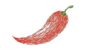 Vector illustration of chilli pepper in hand drawing style. Vector sketch of red chili pepper on isolated background.