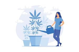 Young woman watering hemp plant, forbidden houseplant. Marijuana cultivation, medical cannabis, illegal horticulture. Girl growing weed. flat vector modern illustration
