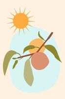 Minimalist branch with peach fruit and sunny weather. Vector flat illustration