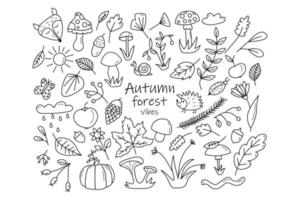 Set of Autumn Forest design elements in doodle hand drawn style. Collection of animals and natural objects in vintage style. Vector illustration isolated on white background.