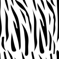 Seamless pattern with zebra print. Vector. vector