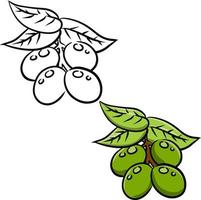 aceituna. verdura verde en rama con hojas. elemento de aceite y una dieta saludable. ilustración plana de dibujos animados aislado en blanco vector