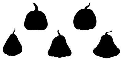 Pumpkin. Set of silhouettes of different pumpkins. Black silhouettes of pumpkins. Isolated on white. vector